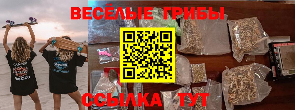 Псилоцибиновые грибы Psilocybine cubensis Чебоксары